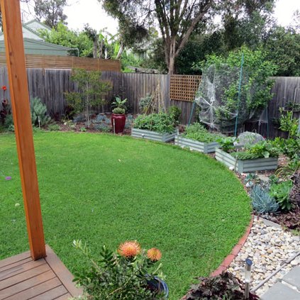 The productive garden establishing after two years.